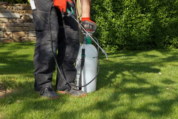 Backyard Weed Treatment