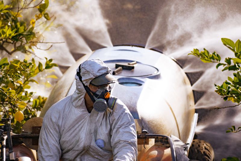 Weed Picking Service