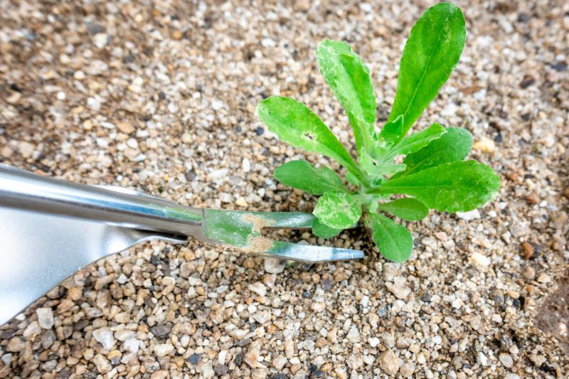 Weed Removal Equipment